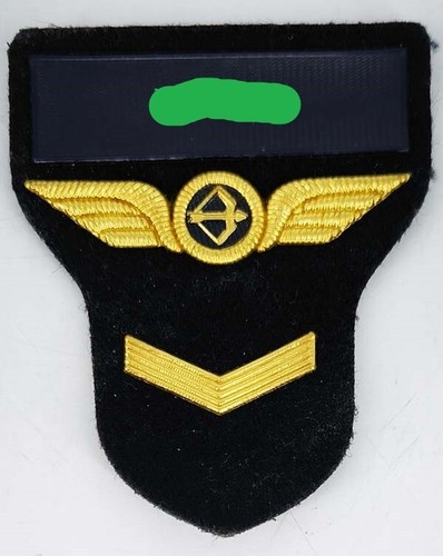 Alitalia airlines flight crew - alitalia,