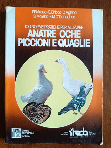 100 norme partiche per - 100,