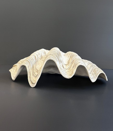 Conchiglia gigante - conchiglia,