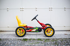 Go Kart marca Berg modello