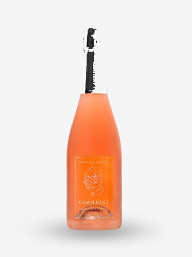 Franciacorta rose ammonites - franciacorta,