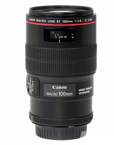 Canon 100 8l - is, usm