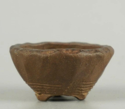 Vaso bonsai giapponese - , banko