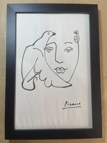 Disegno pablo picasso - pablo,