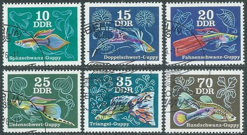 Germania ddr 1976 pesci - ddr,