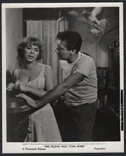 GABRIELLA PALLOTTA HARRY GUARDINO ne Il piccione che prese Roma 62 SCOLLATURA TETTONA