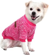 Vestiti invernali per cani