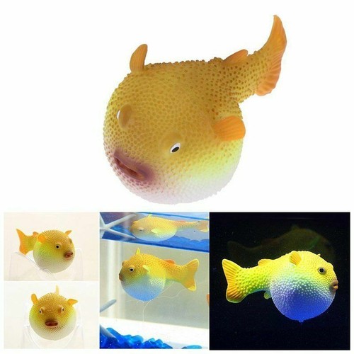 Pesce palla acquario - pesce,