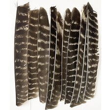 Piume a freccia piume naturali