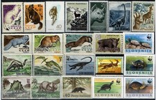 Tematica Animali - varie