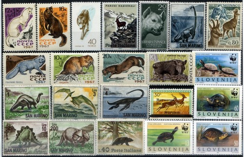 Tematica animali varie - tematica,