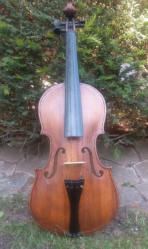 Vecchio violino - vecchio,