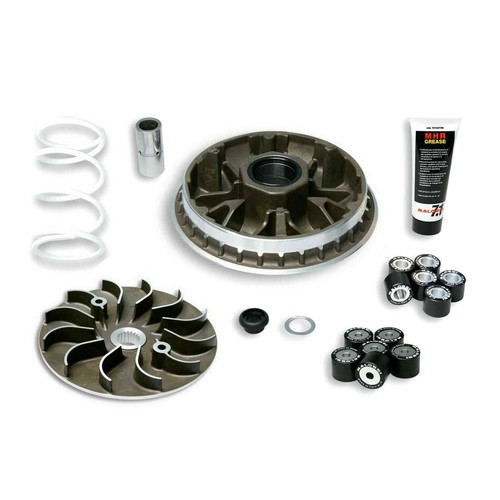 Mf2505 variatore malossi - variatore,