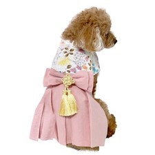 regalo Pet Hakama vestiti per