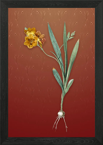 Quadro stampa tela poster - quadro,