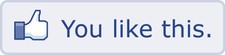 Shirt facebook ti piace - 2x,