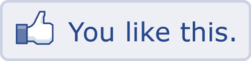Shirt facebook ti piace - facebook,