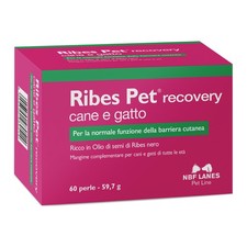 Ribes Pet Recovery Cane E