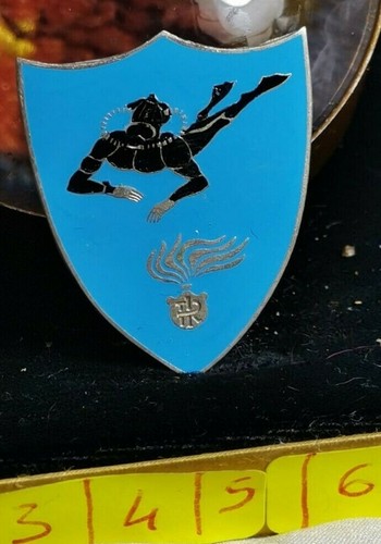 Pin spilla distintivo prova - distintivo,