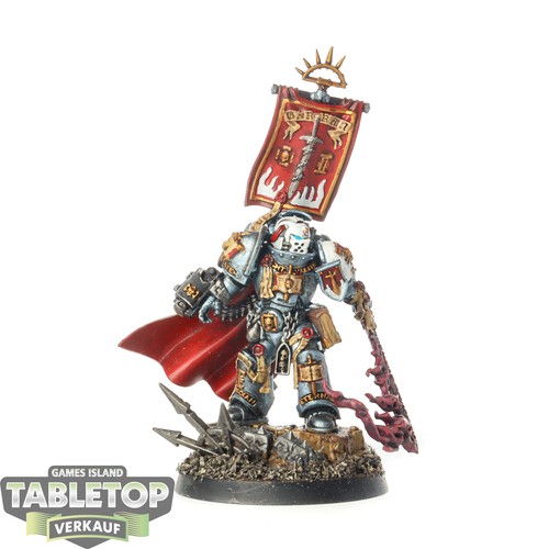 Cavalieri grigi castellan - cavalieri,