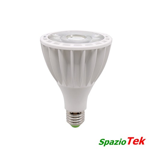 Lampadina led e27 - led, par30