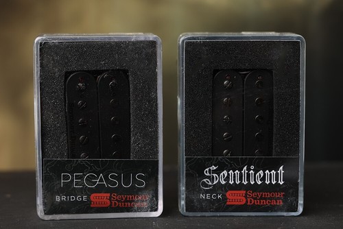 Seymour duncan pegasus - seymour, &