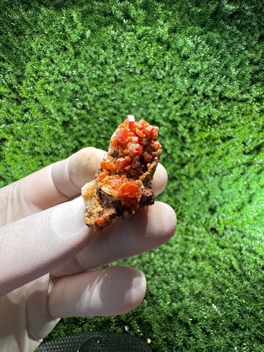 Pazzo vanadinite con - vanadinite,