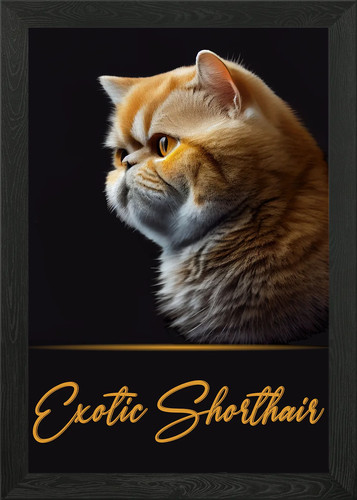 Adorabile poster esotico - , a