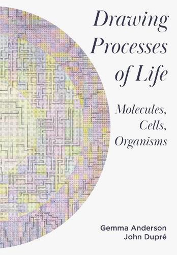 Drawing processes life - of,