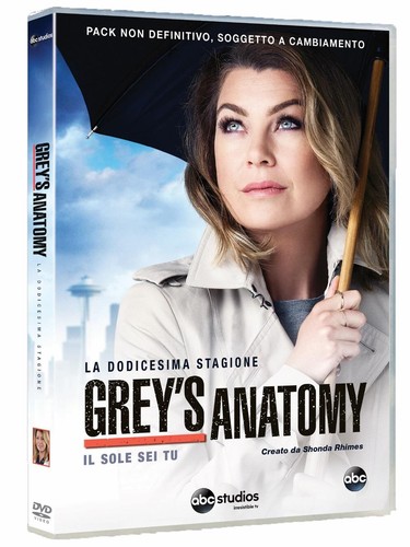 Grey anatomy stagione 12 - ,