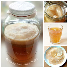 Healthy Live Organic Kombucha