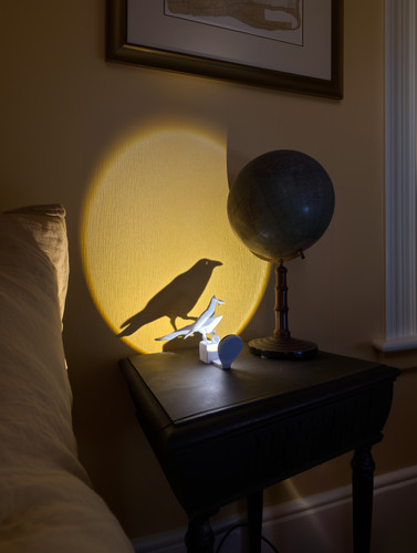 Lampada ombra corvo - ombra,