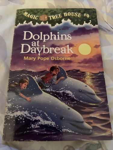 Dolphins daybreak magic - at, (magic