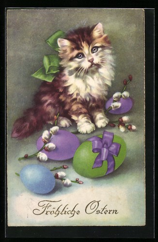 Cartolina gatto con uova - gatto,