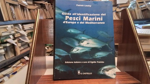 Guida all identificazione - all'identificazione, dei