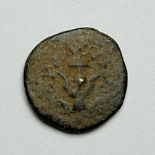 GIUDEA ACARO VEDOVA ALEXANDER