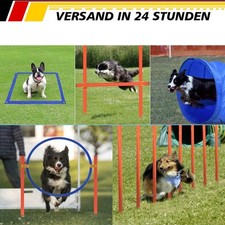 Set Allenamento Agility 5