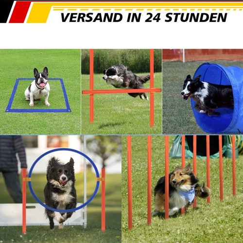 Set allenamento agility - agility, 5