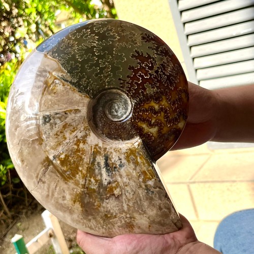 Pietra preziosa naturale