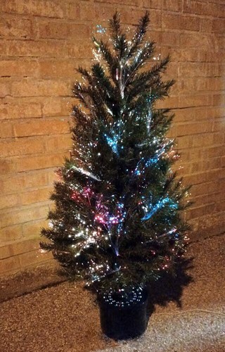 Albero fibra ottica - albero,