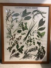 3 Cornici In Legno e Vetro  53,5x 43,5 X 1,5 Con Stampe Erbe Verdure Legumi