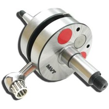 MVT MINARELLI AM6 MALAGUTI 50