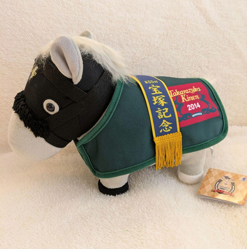 Costume abbigliamento cavallo