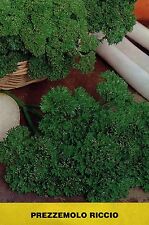 500 SEMI DI PREZZEMOLO RICCIO- PIANTA AROMATICA -PETROSELINUM CRISPUM+++++++++++