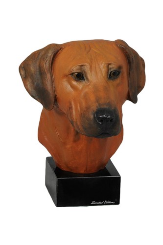Rhodesian ridgeback - rhodesian,