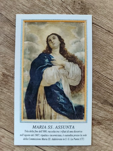 Maria santissima assunta holy - maria,