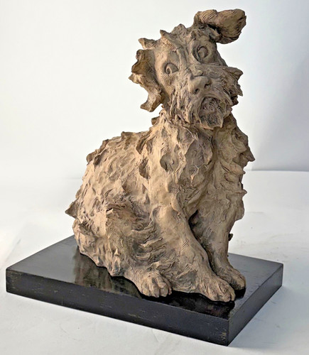 Guido cacciapuoti - guido,