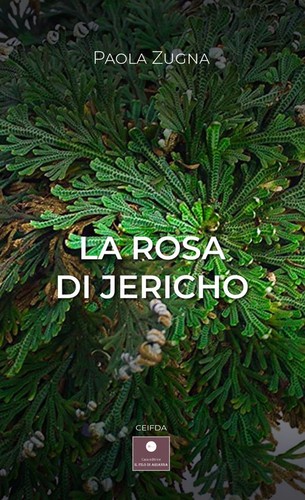 Libri paola zugna - la, di