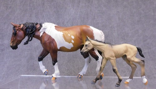 Wia nuovo pinto mustang - wia, mare