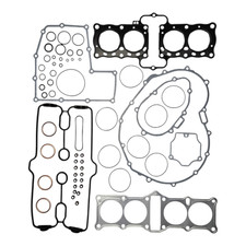 Set guarnizioni tribraccio